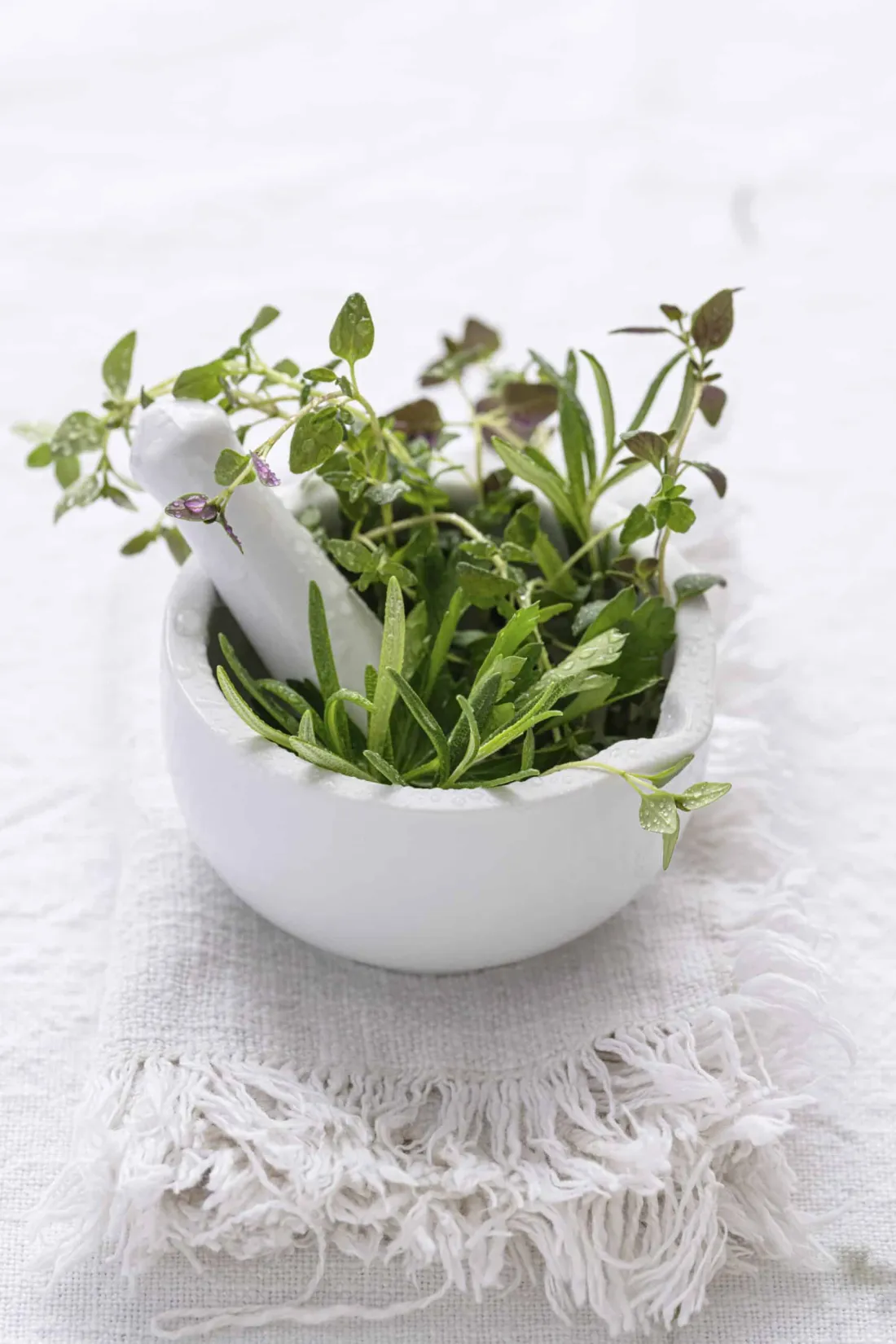 Plantes comestibles